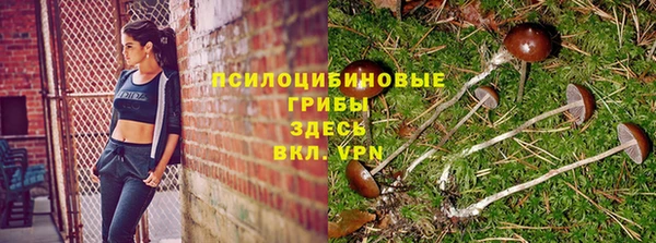 МДПВ Абдулино