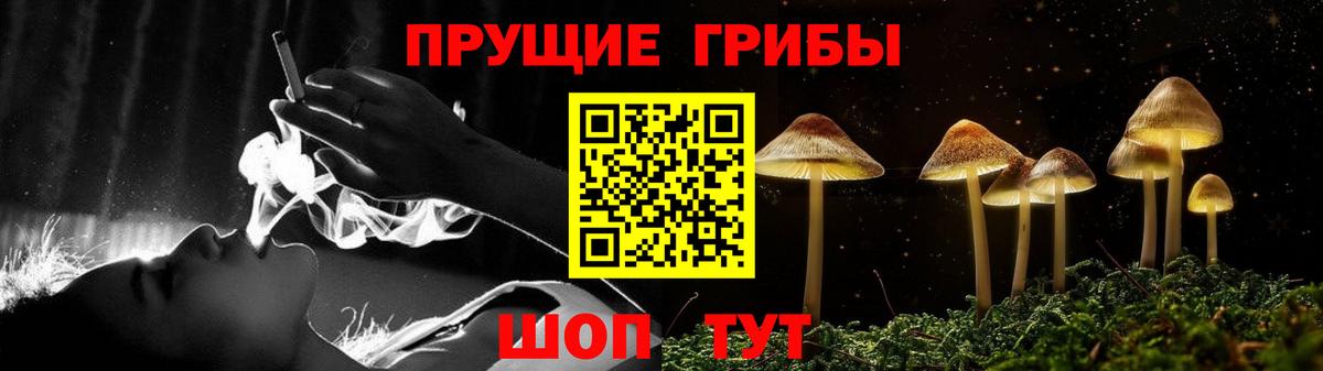 Галлюциногенные грибы MAGIC MUSHROOMS Советский